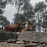 Prázdninový dům Casa Do Corgo Bubaces