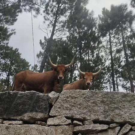 펜션 Casa Do Corgo Bubaces