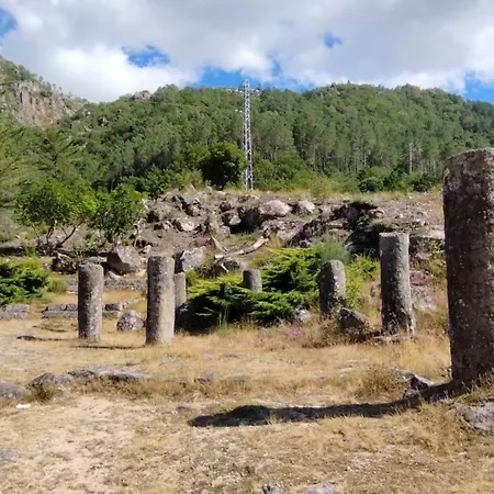 Casa Do Corgo Hébergement de vacances *