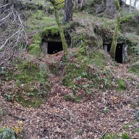 Casa Do Corgo Hébergement de vacances Bubaces