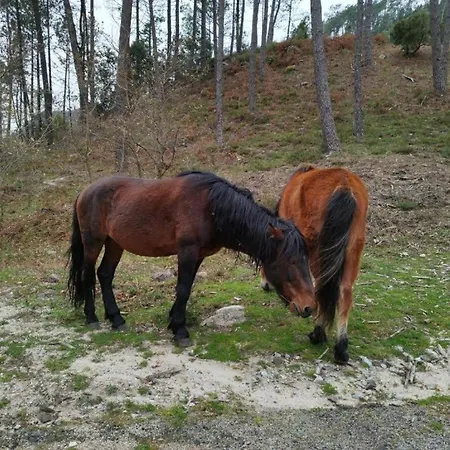 Hébergement de vacances Casa Do Corgo *
