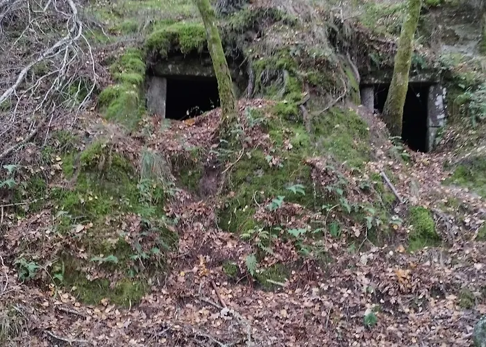 Casa Do Corgo Tatil Evi Bubaces